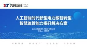 人工智能时代新型电力数智转型智慧监管能力